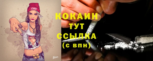ECSTASY Костерёво