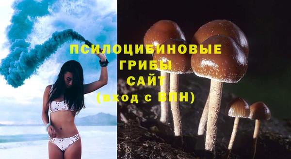 гидропоника Коряжма